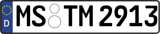MS-TM2913