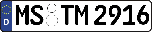 MS-TM2916