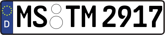 MS-TM2917