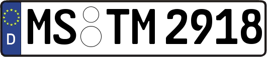 MS-TM2918