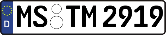 MS-TM2919
