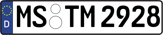 MS-TM2928