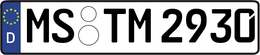MS-TM2930