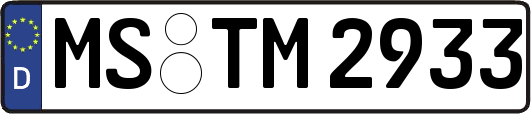 MS-TM2933