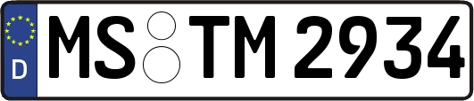 MS-TM2934