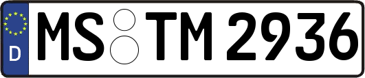 MS-TM2936