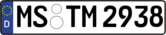 MS-TM2938