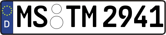 MS-TM2941