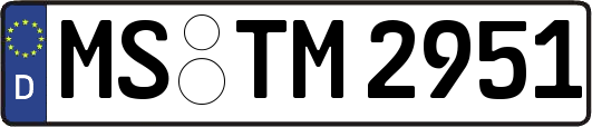 MS-TM2951