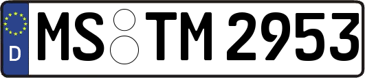 MS-TM2953