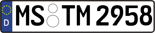 MS-TM2958