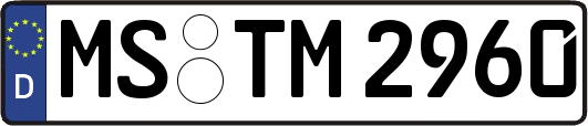 MS-TM2960