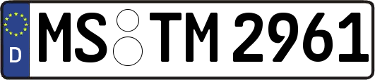 MS-TM2961