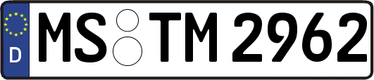 MS-TM2962