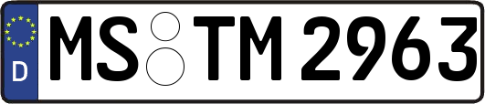 MS-TM2963