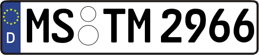 MS-TM2966
