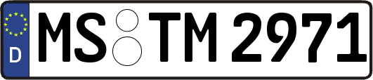 MS-TM2971