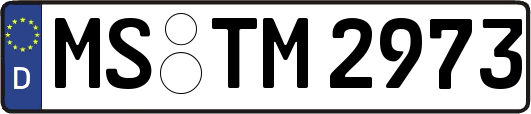 MS-TM2973