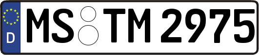 MS-TM2975