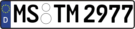 MS-TM2977