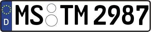 MS-TM2987