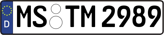 MS-TM2989