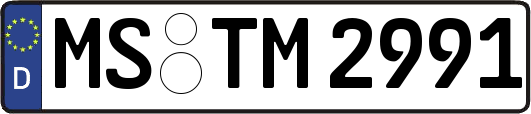 MS-TM2991