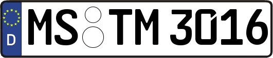 MS-TM3016