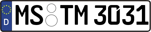 MS-TM3031