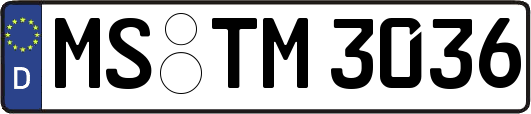 MS-TM3036