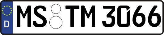 MS-TM3066