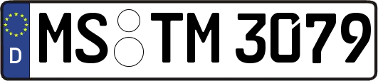 MS-TM3079
