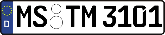 MS-TM3101