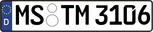MS-TM3106