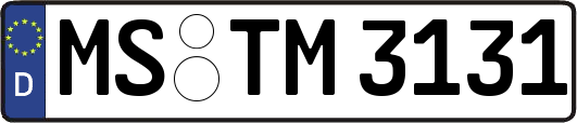 MS-TM3131