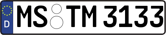 MS-TM3133