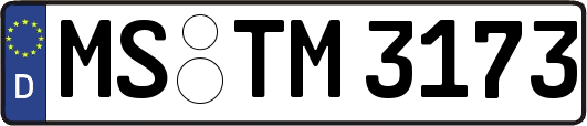 MS-TM3173