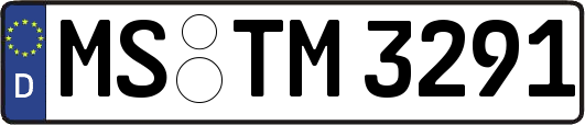MS-TM3291
