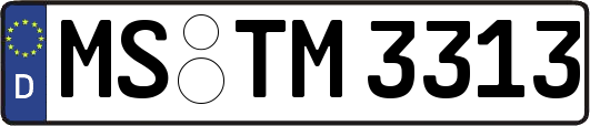 MS-TM3313