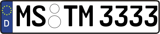 MS-TM3333