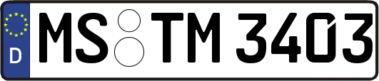 MS-TM3403