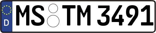 MS-TM3491