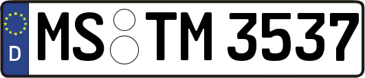 MS-TM3537