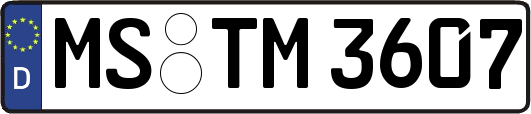 MS-TM3607