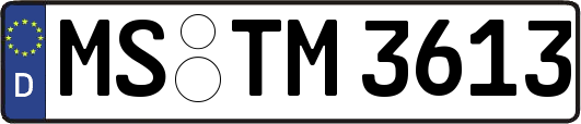 MS-TM3613