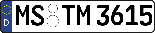 MS-TM3615