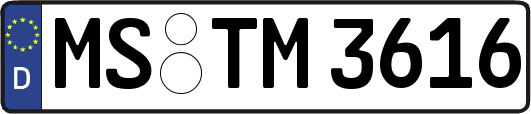 MS-TM3616