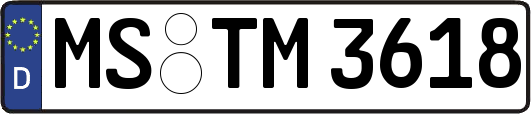 MS-TM3618
