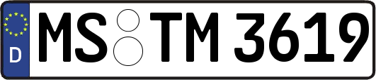 MS-TM3619