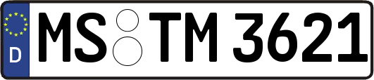 MS-TM3621